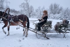Прогулки-на-санях-в-СПб